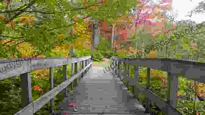 A Picturesque View Of A Suspension Bridge In Woodford State Park 10+ Great Day Hikes In Southern Vermont