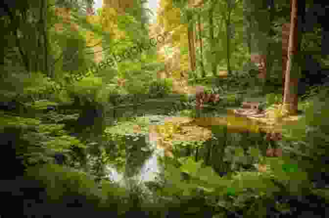 A Tranquil View Of Stratton Pond Surrounded By Lush Greenery 10+ Great Day Hikes In Southern Vermont