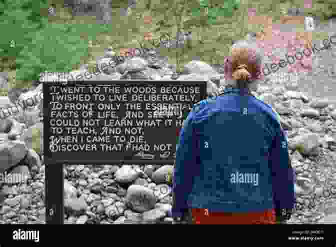 A Young Boy Sits On A Rock By Walden Pond, Listening To Thoreau, Who Is Standing In A Boat On The Water. If You Spent A Day With Thoreau At Walden Pond (Christy Ottaviano Books)