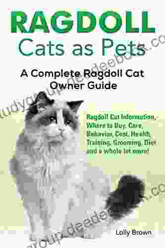 Ragdoll Cats As Pets: Ragdoll Cat Information Where To Buy Care Behavior Cost Health Training Grooming Diet And A Whole Lot More A Complete Ragdoll Cat Owner Guide