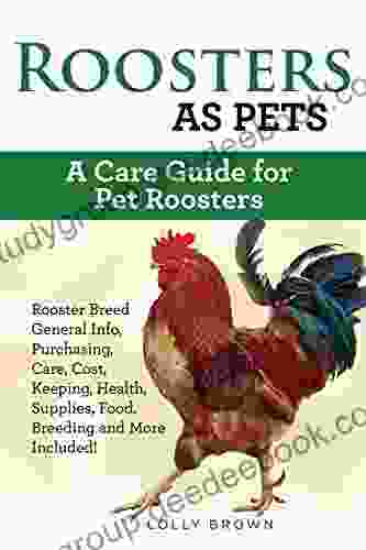 Roosters As Pets: Rooster Breed General Info Purchasing Care Cost Keeping Health Supplies Food Breeding And More Included A Care Guide For Pet Roosters