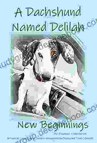 A Dachshund Named Delilah : New Beginnings