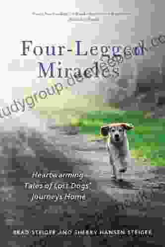 Four Legged Miracles: Heartwarming Tales Of Lost Dogs Journeys Home