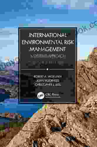 International Environmental Risk Management: A Systems Approach