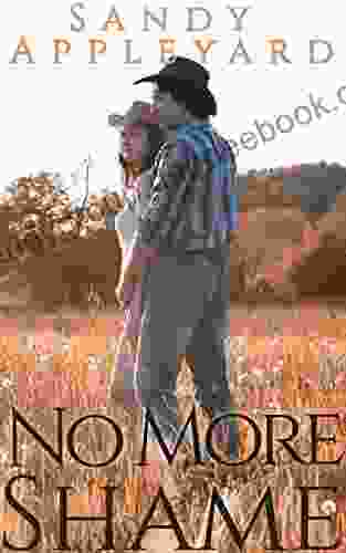 No More Shame (A Town Without Pity 10)