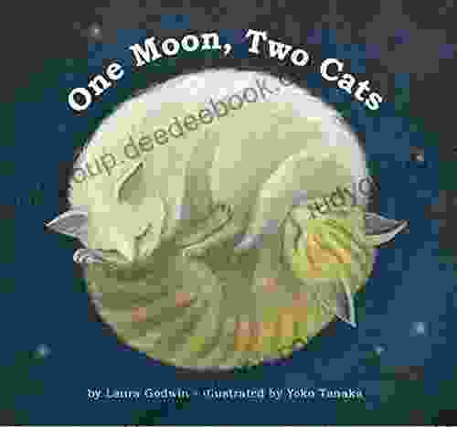 One Moon Two Cats Laura Godwin