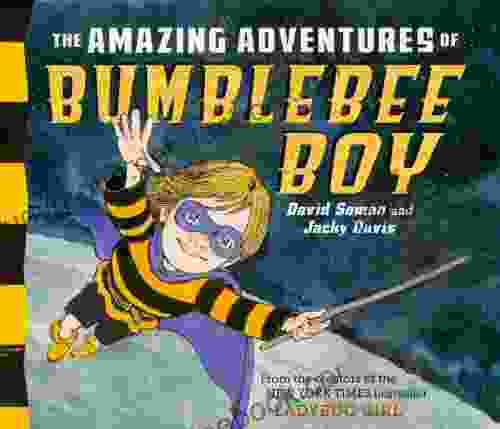 The Amazing Adventures of Bumblebee Boy (Ladybug Girl)